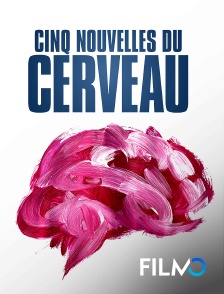 FilmoTV - Cinq nouvelles du cerveau en replay