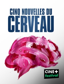 Cinq nouvelles du cerveau