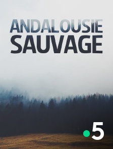 Andalousie sauvage