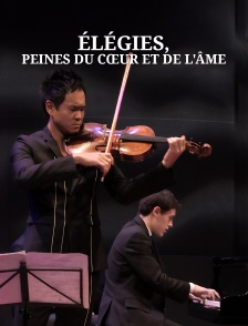 Élégies, peines du cœur et de l'âme