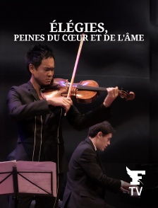 Le Figaro TV - Élégies, peines du cœur et de l'âme