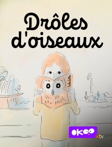 Drôles d'oiseaux