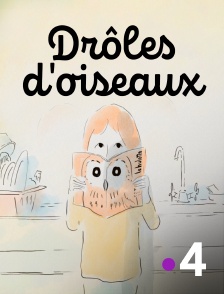 France 4 - Drôles d'oiseaux