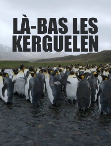 Là-bas les Kerguelen