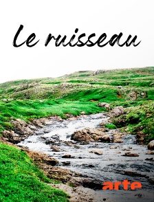 Le ruisseau