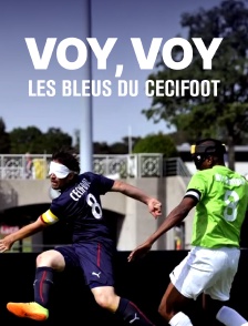 Voy, voy : les bleus du cécifoot