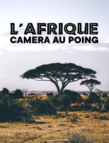 L'Afrique caméra au poing