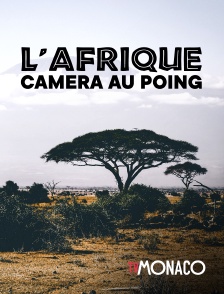 TV Monaco - L'Afrique caméra au poing