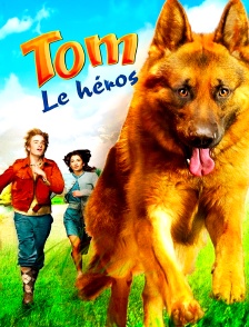 Tom le héros