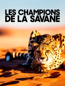 Les champions de la savane