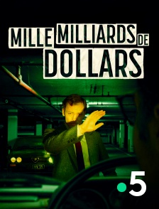 France 5 - Mille milliards de dollars