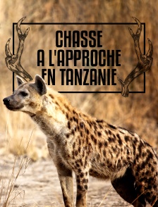 Chasse à l'approche en Tanzanie
