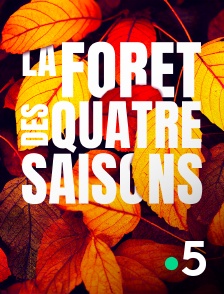 France 5 - La forêt des quatre saisons