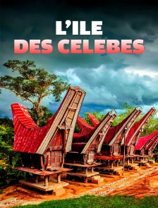 L'île des Célèbes : La cérémonie funéraire du peuple Toraja