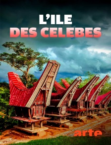 Arte - L'île des Célèbes : La cérémonie funéraire du peuple Toraja