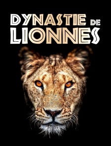 Dynastie de lionnes : Les héritiers face au destin