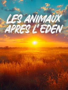 Les animaux après l'Eden