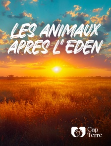 Cap Terre - Les animaux après l'Eden