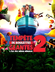 L'île des miam-nimaux : tempête de boulettes géantes 2