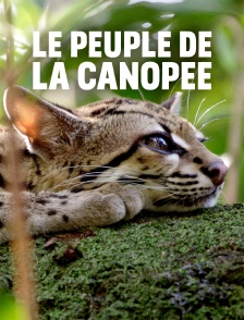 Le peuple de la canopée