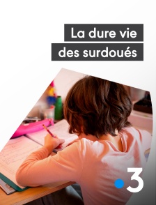 France 3 - La dure vie des surdoués