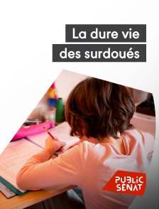 Public Sénat - La dure vie des surdoués