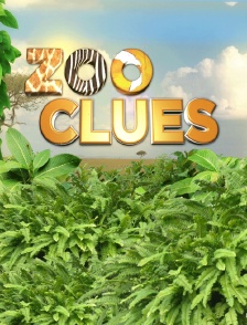 Le grand quiz des animaux