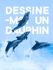 Paris insolite (Dessine-moi un dauphin)