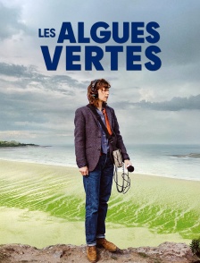 Les algues vertes