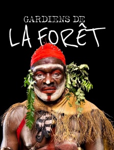 Gardiens de la forêt