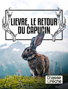 Chasse et pêche - Lièvre, le retour du capucin