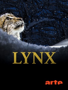 Lynx