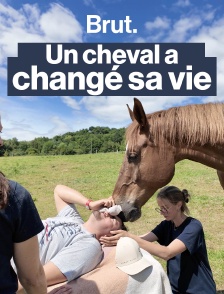 "Je ne regardais jamais les gens dans les yeux", la vie de ces enfants a changé grâce aux chevaux.