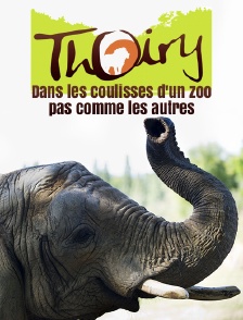 Thoiry : dans les coulisses d'un zoo pas comme les autres