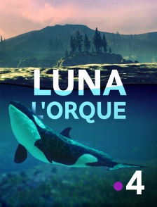 France 4 - Luna, l'orque