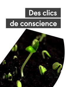 Des clics de conscience