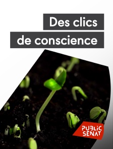 Public Sénat - Des clics de conscience