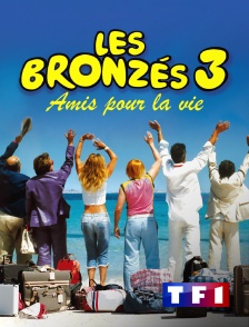 TF1 - Les bronzés 3 : amis pour la vie