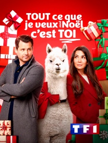 TF1 - Tout ce que je veux pour Noël… c'est toi !