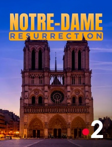 France 2 - Notre-Dame Résurrection