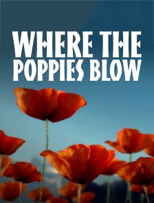 Where the Poppies Blow
