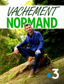 France 3 - Vachement normand