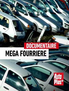 AutoPlus - Méga Fourrière