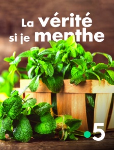 La vérité si je menthe