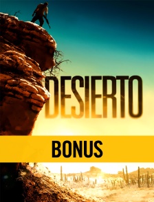 Desierto : Le bonus