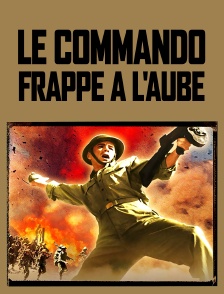 Le commando frappe à l'aube