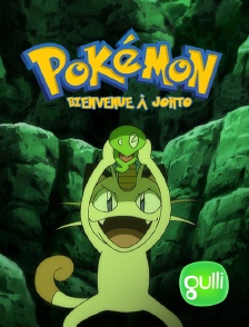 Gulli - Bienvenue à Johto