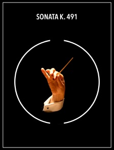 Sonata K. 491
