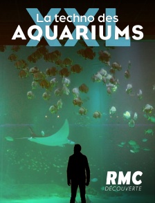 RMC Découverte - La techno des aquariums XXL