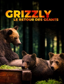 Grizzly, le retour des géants